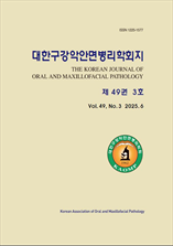 대한구강악안면병리학회지 표지