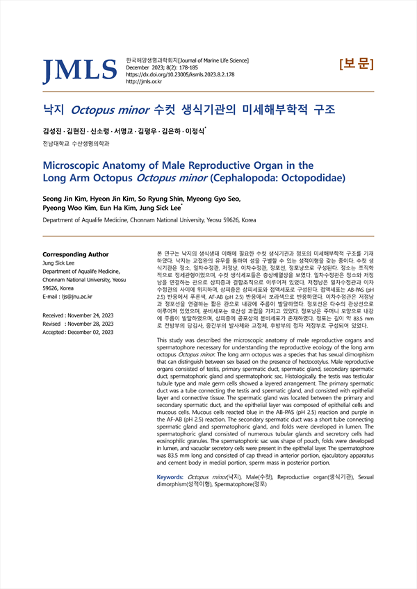 낙지 Octopus minor 수컷 생식기관의 미세해부학적 구조 - koreascholar